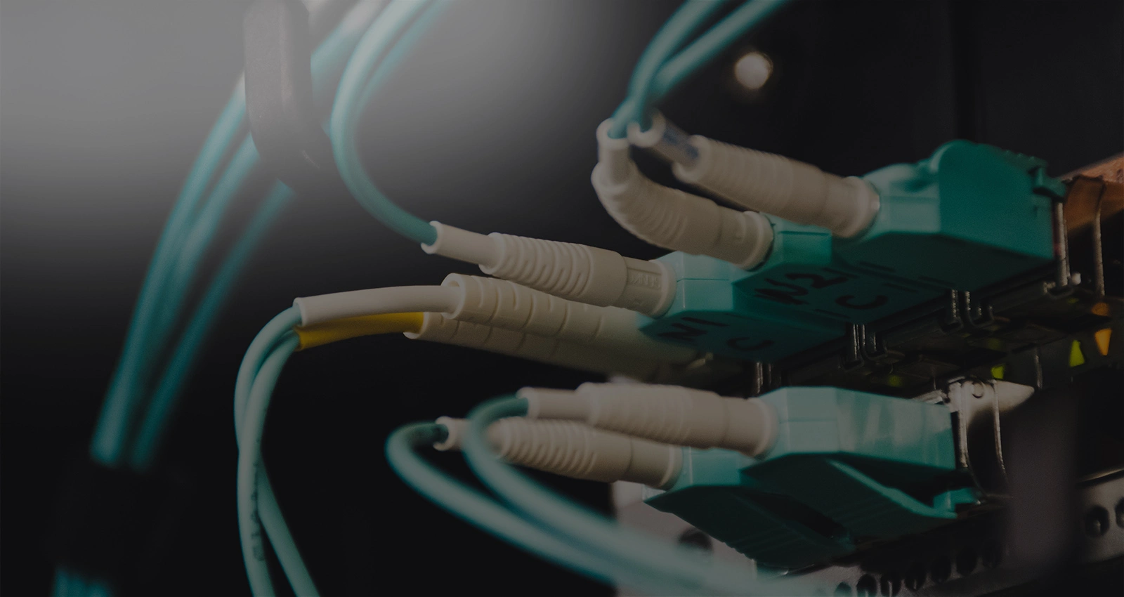 CCTV & Networking Solutions