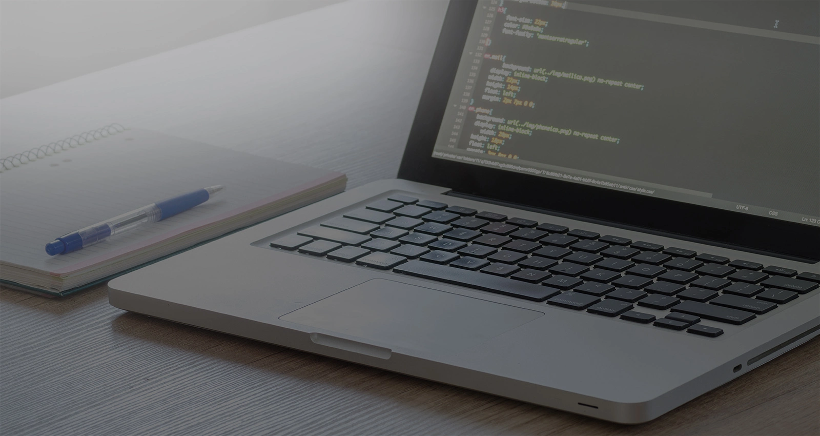Software Development